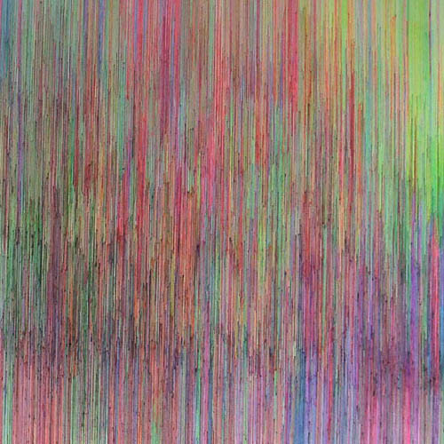 artist joan salo