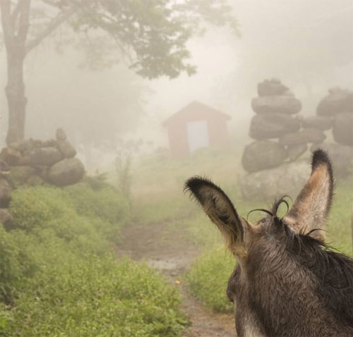 jonathan levitt photographer photography