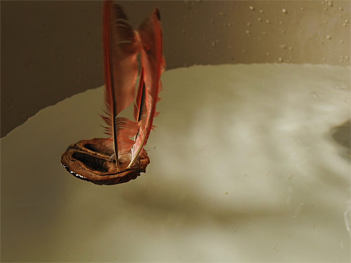Little Drifters Booooooom project Worldwide submissions