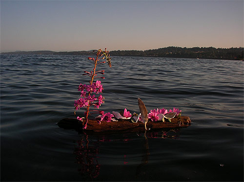 Little Drifters Booooooom project Worldwide submissions