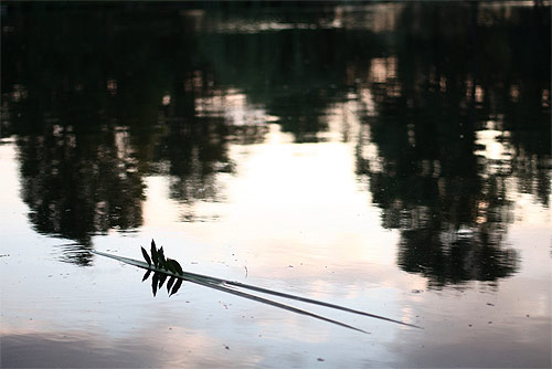 Little Drifters Booooooom project Worldwide submissions