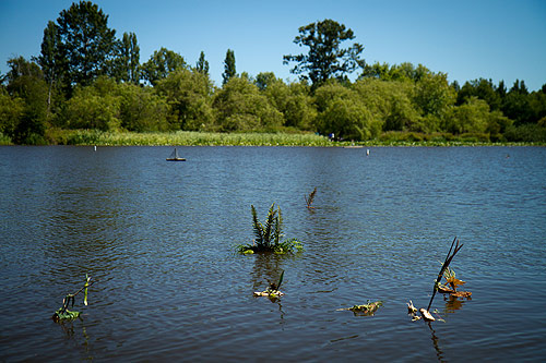 Little Drifters Trout Lake Extravaganza Booooooom Project vancouver boat craft building