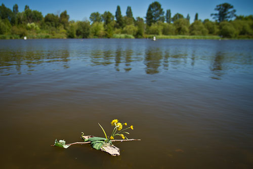 Little Drifters Trout Lake Extravaganza Booooooom Project vancouver boat craft building