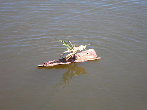 Little Drifters Trout Lake Extravaganza Booooooom Project vancouver boat craft building
