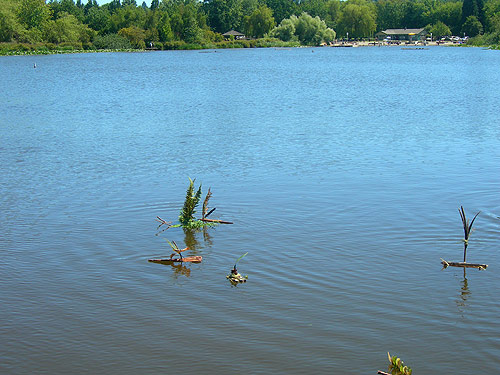 Little Drifters Trout Lake Extravaganza Booooooom Project vancouver boat craft building