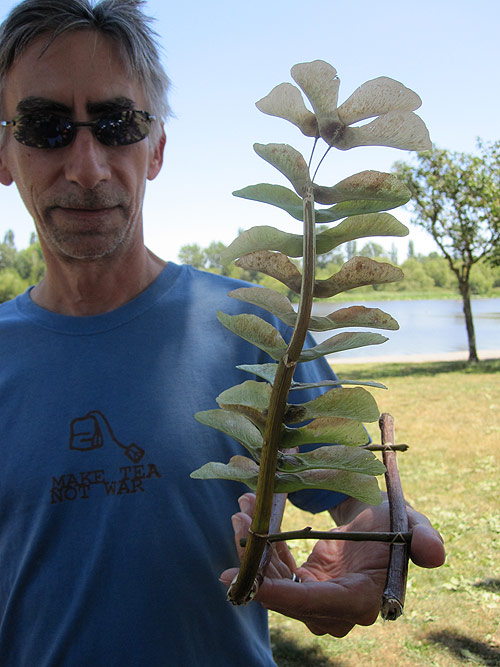 Little Drifters Trout Lake Extravaganza Booooooom Project vancouver boat craft building