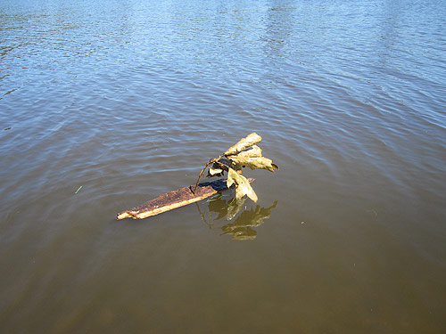 Little Drifters Trout Lake Extravaganza Booooooom Project vancouver boat craft building