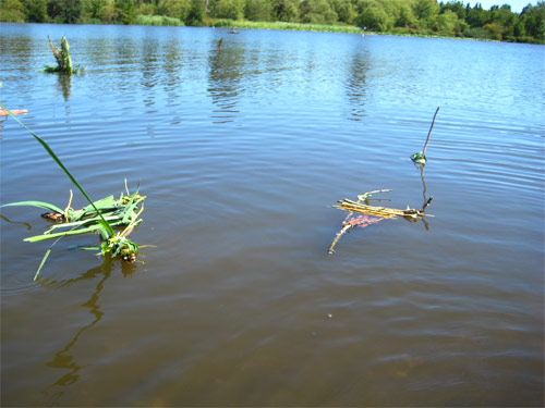 Little Drifters Trout Lake Extravaganza Booooooom Project vancouver boat craft building