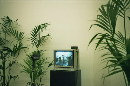 photographer photography lyn mougeolle