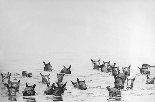 marissa textor graphite drawings artist
