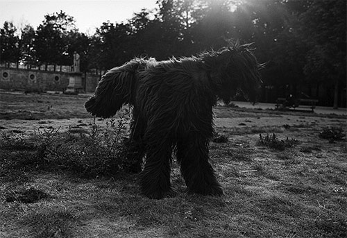 photographer photography mark steinmetz