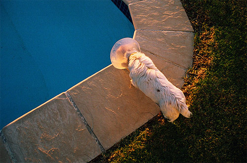 photographer oliver chennells