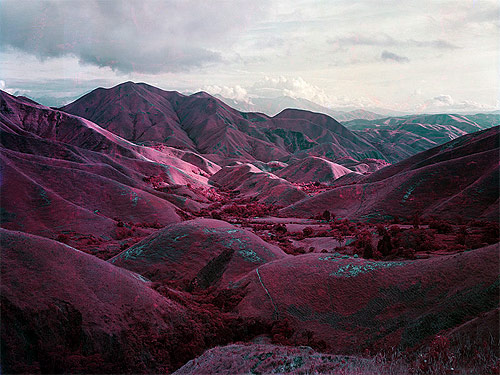 richard mosse photographer photography quick infrared film kodak aerochrome congo