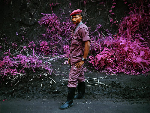 richard mosse photographer photography quick infrared film kodak aerochrome congo