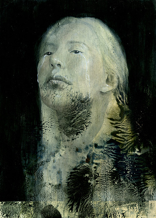 illustrator sam weber illustration