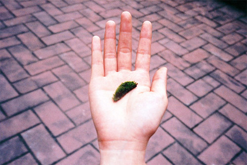 photographer photography tang chan