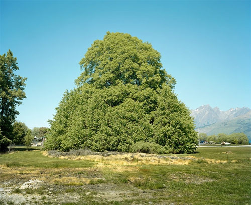 Photographer Emily Shur