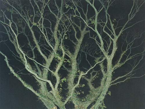 jackson eaton photographer