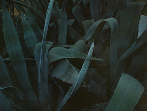 jackson eaton photographer
