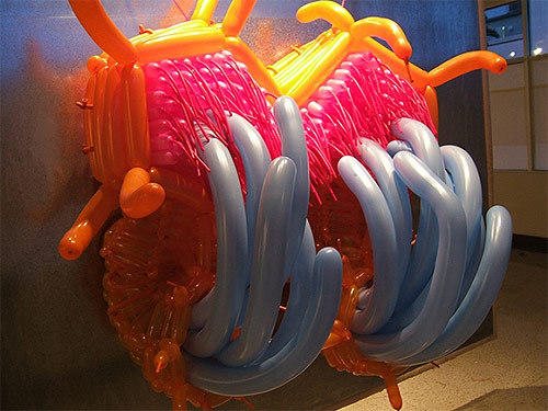 Balloon sculptures by artist Jason Hackenwerth