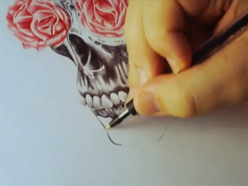 Skull with rose eyes by Paul Alexander Thornton