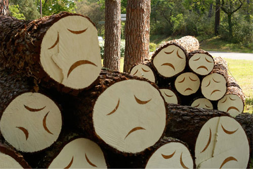 poor little trees by steven burke