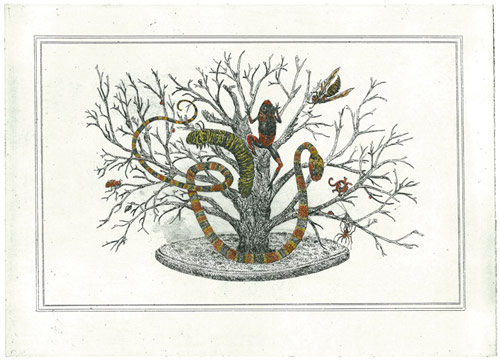todd freeman artist drawing etching