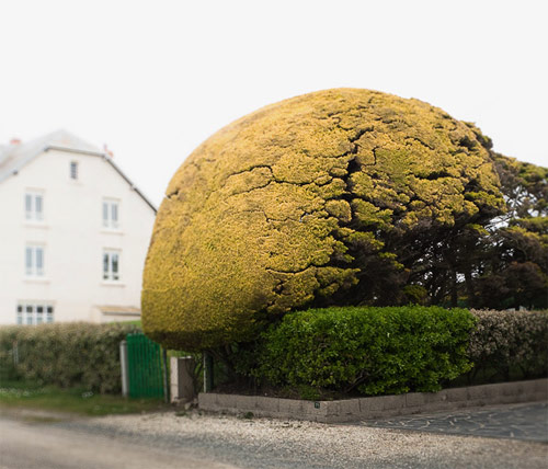 Photographer Alex Cretey-Systermans