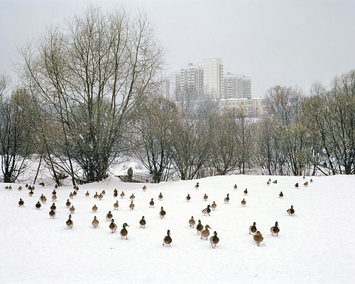 photographer photography alexander gronsky