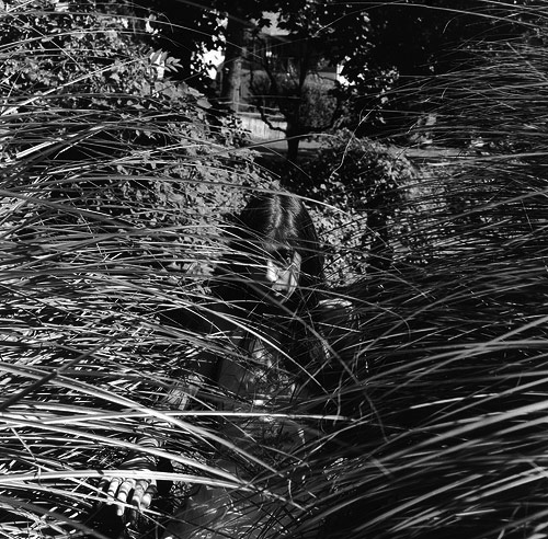 photographer ariel rosenbloom photography