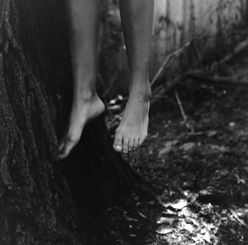 photographer ariel rosenbloom photography