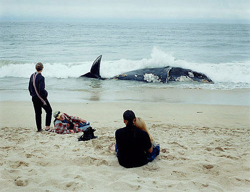 photographer photography dorothee deiss