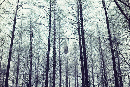 photographer photography li hui