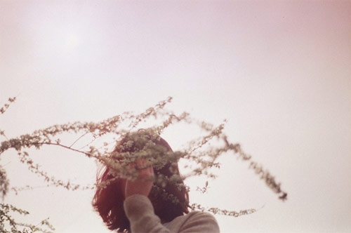 photographer photography li hui
