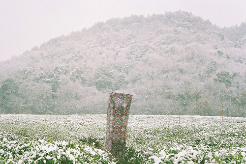 photographer photography li hui