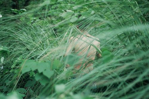 photographer photography li hui