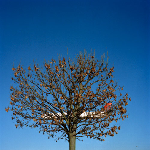 Photographer Ozant Kamaci photography series pause