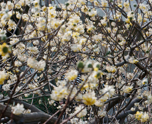 photographer photography tetsuomi sukeda