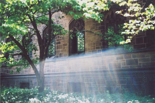 photographer photography ann he