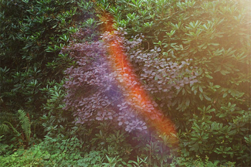 photographer photography juan chao