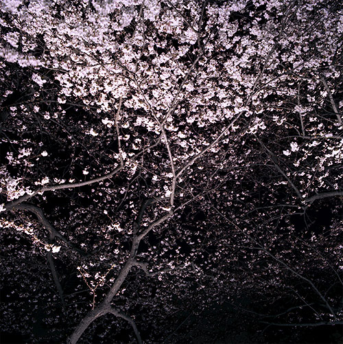 photographer photography juliane eirich