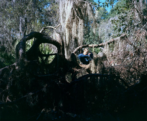 photographer sophie morner photography