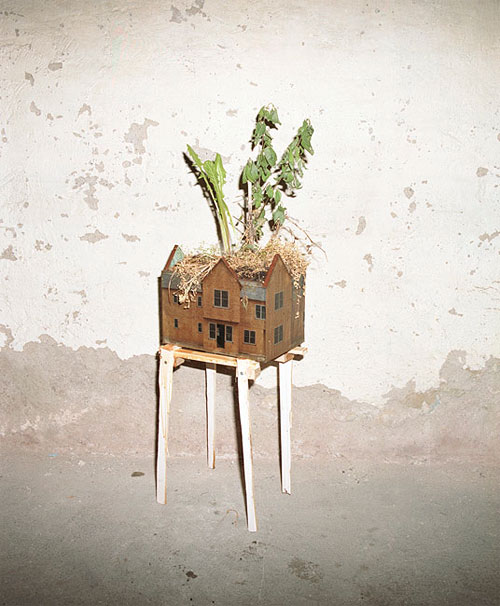 growhomes photographers photography by taiyo onorato nico krebs