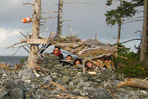 Wild Things’ Forts VIII