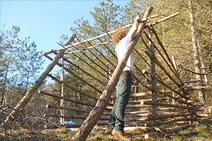 Wild Things’ Forts III