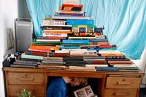 Wild Things’ Forts I