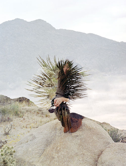 Photographer Jacqueline Di Milia photography
