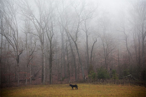 photographer matt eich photography