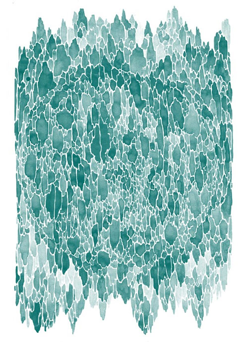 illustrator illustration sophie kern