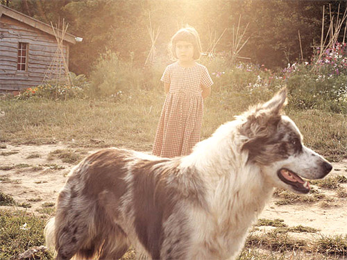 photographer photography venetia dearden